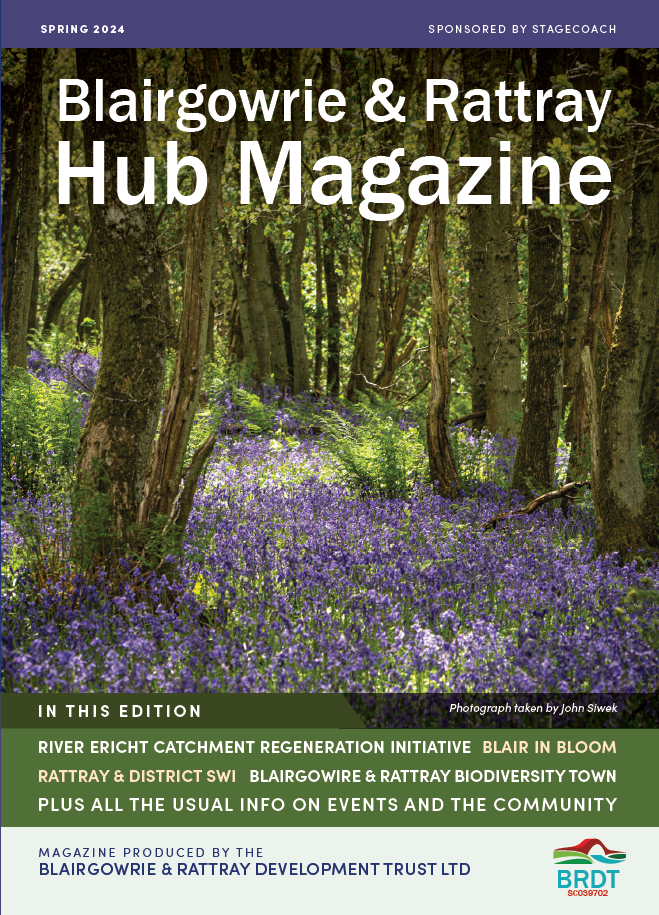 Latest Hub Magazine